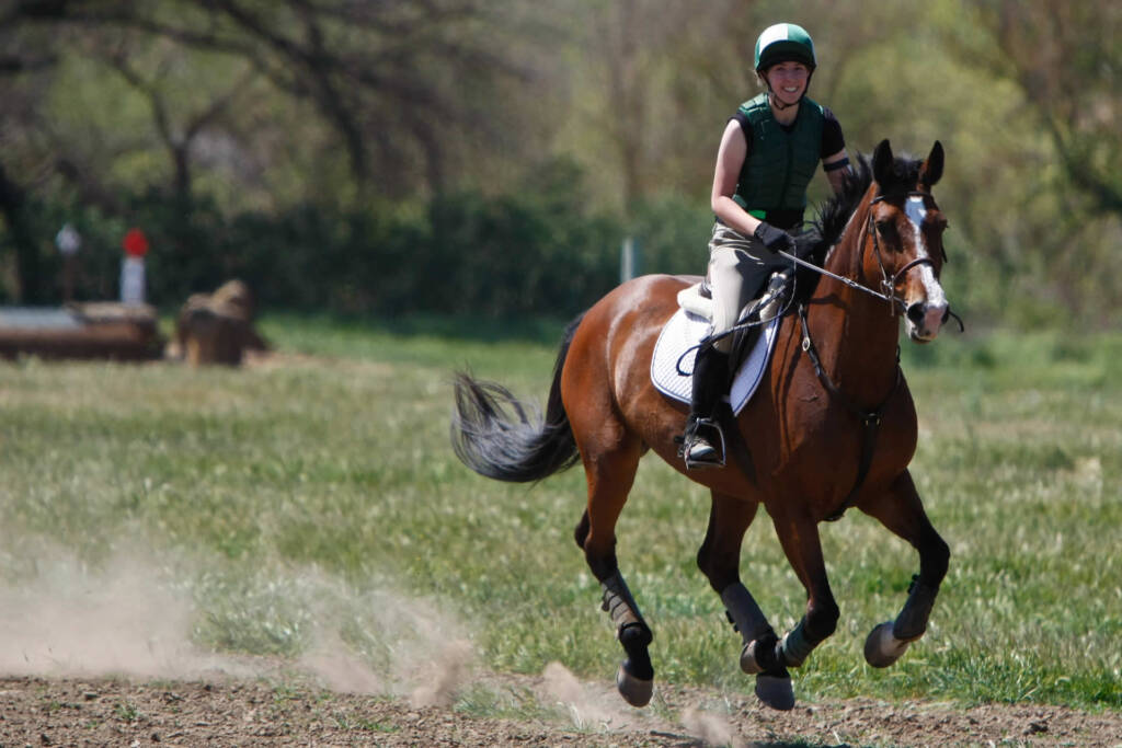 Equine Bowen therapy for performance horses
