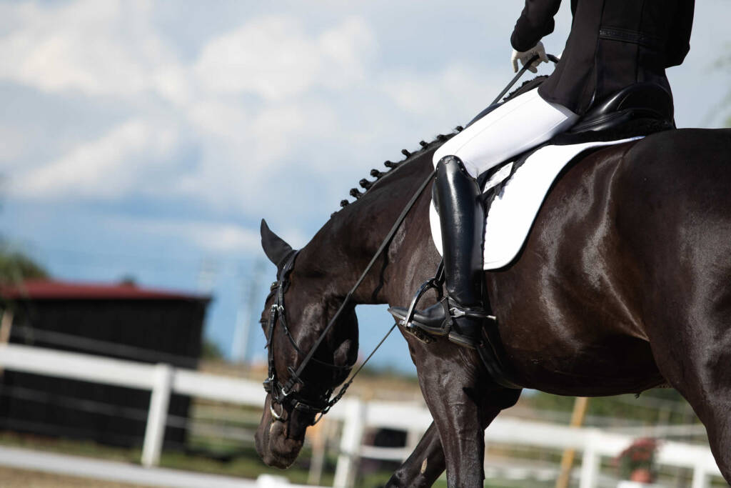 Bowen therapy for dressage and show horses