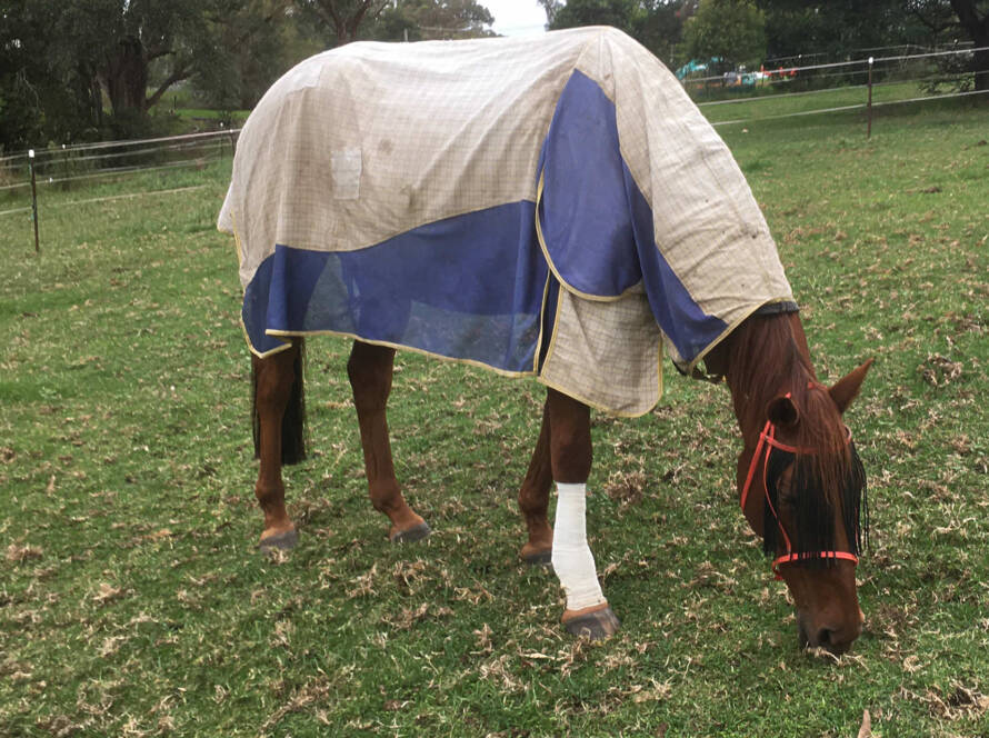 Bowen therapy helping recovery